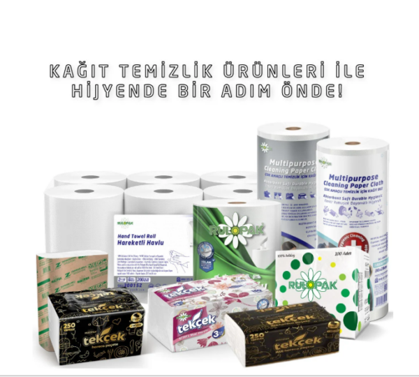 Kağıt Grubu